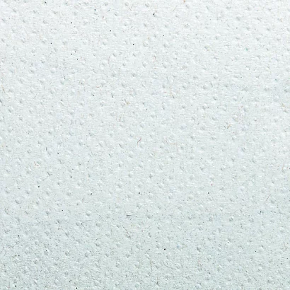 Essuie-mains Enchevêtrés Hostess Natura, 20 Paquets De 180 4 Essuie-mains Enchevêtrés Hostess Natura, 20 Paquets De 180 – Image 2