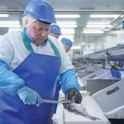 Gant Protection Contact Alimentaire Anti-coupure Mapa Krotech 838 Taille 9, L'unité -Nettoyage Outils Boutique gant protection contact alimentaire anti coupure mapa krotech 838 taille 9 unit 300523 5