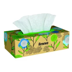 Mouchoirs Renova 100% Recyclé, 30 Boîtes De 72 Mouchoirs -Nettoyage Outils Boutique mouchoirs renova 100 recycl 30 bo 72 mouchoirs 087610 3