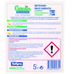 Nettoyant Multi-usages Concentré Carolin Professionnel Agrumes 5 L -Nettoyage Outils Boutique nettoyant multi usages concentr carolin professionnel agrumes 5 127680 2