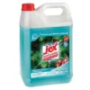 Nettoyant Multi-usages Désinfectant Jex Jardin Exotique 5 L -Nettoyage Outils Boutique nettoyant multi usages sinfectant jex jardin exotique 5 140572