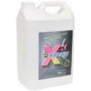 Nettoyant Détachant Surpuissant Anios X-spray 5 L -Nettoyage Outils Boutique nettoyant tachant surpuissant anios x spray 5 125780