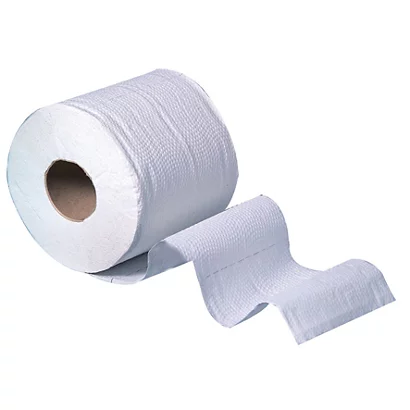 Papier Toilette Bernard XXL 2 épaisseurs, Lot De 30 Rouleaux 4 Papier Toilette Bernard XXL 2 épaisseurs, Lot De 30 Rouleaux – Image 2