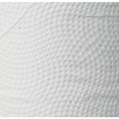 Papier Toilette Bernard XXL 2 épaisseurs, Lot De 30 Rouleaux 5 Papier Toilette Bernard XXL 2 épaisseurs, Lot De 30 Rouleaux – Image 3