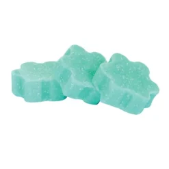 Pastilles Urinoirs Anti-tartre WC Net 3 En 1 Parfum Pin, Boîte De 40 -Nettoyage Outils Boutique pastilles urinoirs anti tartre wc net 3 1 parfum pin bo 40 068350 2