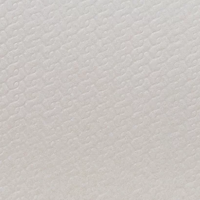 Serviettes De Toilette Jetables Lucart, Boite De 100, 43 X 77 Cm, 50 G/m2, Gamme Airtech 4 Serviettes De Toilette Jetables Lucart, Boite De 100, 43 X 77 Cm, 50 G/m2, Gamme Airtech – Image 2